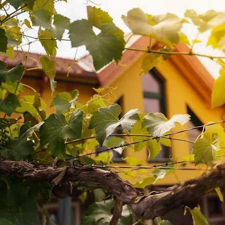 Schreierhof Bio Bauernhof Feldkirchen in Kärnten