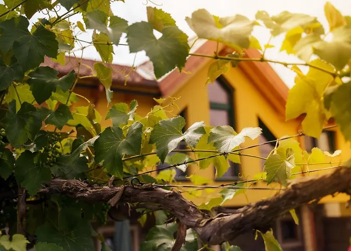 Schreierhof Bio Bauernhof Feldkirchen in Kärnten